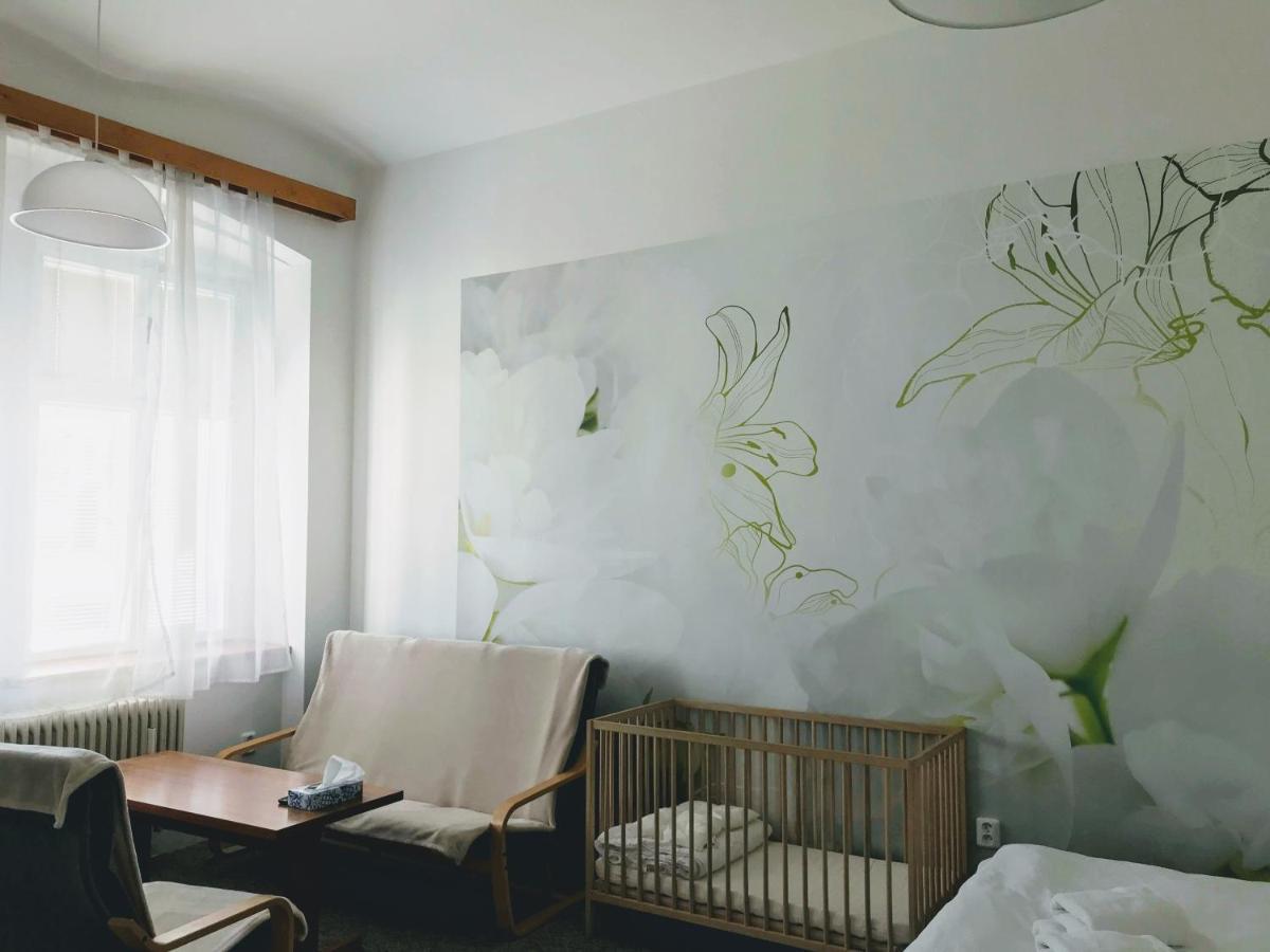 Appartamento Apartman Na Namesti Opočno Esterno foto